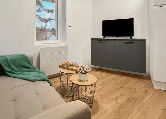 Apartment Renove Et A 2 Pas Du Coeur De Nancy
